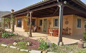 Casa Del Artista